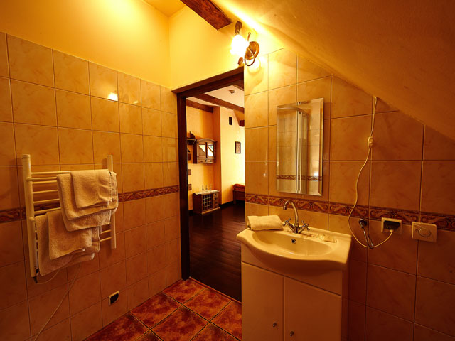 Pod Czarnym Kogutem Bieszczady, Freizeit, Bergausflüge